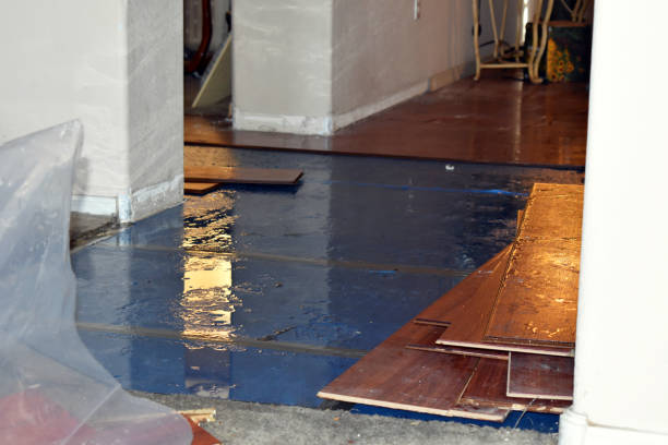 Professional Water Damage Restoration technician working in Roopville, GA